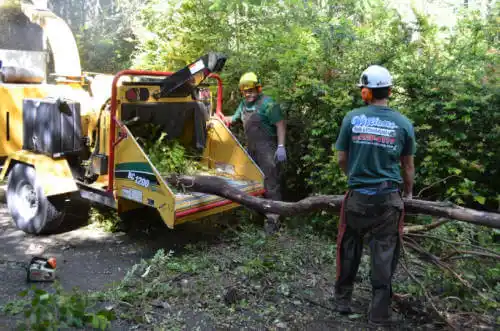 tree services Castle Pines